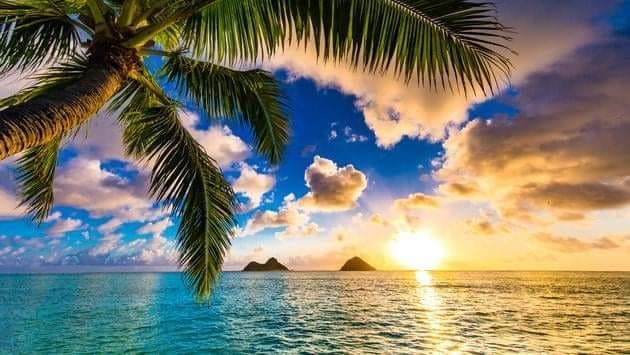 HAWAII IS CALLING!  JOIN US IN OCTOBER 2023 - background banner