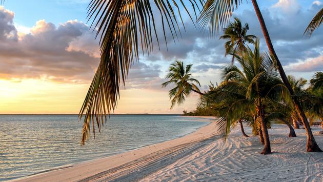 Sail with us on the Brand New NCL Prima to Bahamas and the Big Apple! - background banner