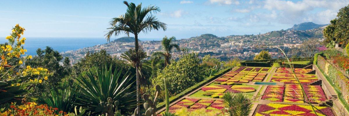 Exclusively for Solo Travelers - Madeira - The Pearl of the Atlantic - background banner
